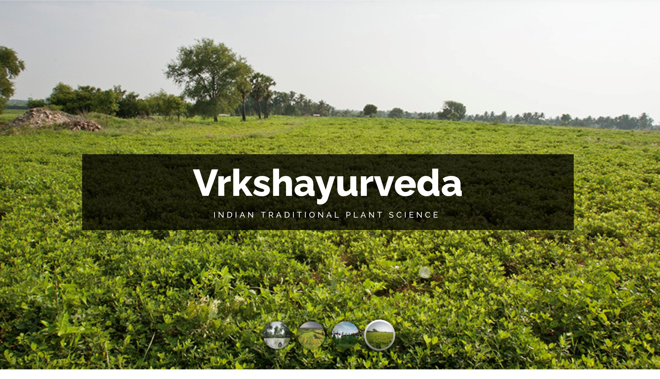Research Grant For ‘Sourcebook on Vrkshayurveda’