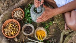 Ayurveda’s Public Image: Problems And Remedies