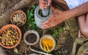 Ayurveda’s Public Image: Problems And Remedies
